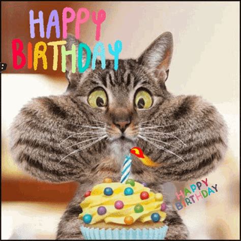 hsppy birthday gif|The Happy Birthday Gif